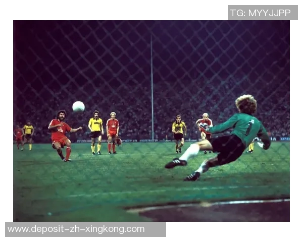 德国拜仁足球队的辉煌历史与未来展望分析